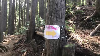 【野外】高尾山を歩いてみる９