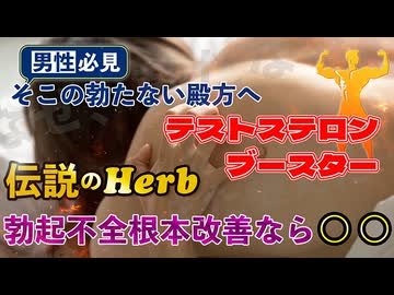 【男性必見】伝説なハーブ、テストステロンブースター、勃起不全根本改善なら○○○○○○○
