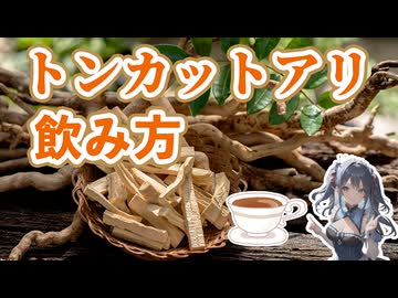 毎日手軽に飲める！トンカットアリの飲み方