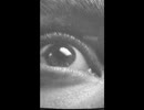 【初音ミク】Schizoprenia
