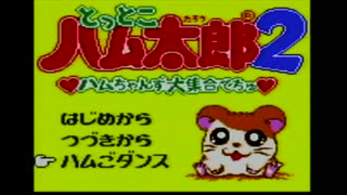 とっとこハム太郎２実況：はむはー！ハム太郎の世界を大冒険なのだ＃01【GBCレトロゲーム】Tottoko Hamtaro2