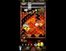 ホルカ×トルカ【最高MAX100枚BET】part282