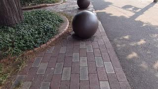 昼間からガンツ