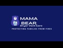 Mama Bear Dryer Vent Care