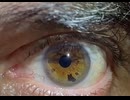 ismypointofview