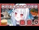 【Vtuber】アンドロイドぶらり旅 #3岐阜県下呂市編 まったり温泉&食べ歩きツアー！