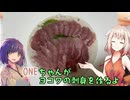 ONEちゃんがヨコワの刺身をつくるよ