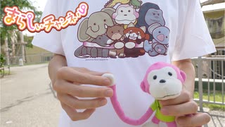 & Piano (東山動植物園テーマ)MVメイキング