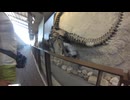 恐竜を見に行ってみた