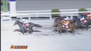 2024年11月23日高知競馬4R 仁淀川特別(準重賞・B級以下) ロッキーサンダー