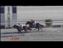 2024年11月24日高知競馬1R ２歳新馬 ヴィフアクター
