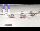 2024年11月24日高知競馬6R アイ・カフェ協賛 ファンキータイム特別(C3-17組) ミッキーイーグル