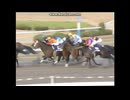 2009 ジャパンカップダート(GI)　エスポワールシチー
