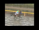 2003 ジャパンカップダート (GI)　フリートストリートダンサー Fleetstreet Dancer (USA)