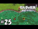 これは・・・受粉の予感・・・！【ゼルダの伝説 知恵のかりもの】25