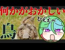 メスガキ先生とヤンデレちゃん横長版１０９「アリスイ」