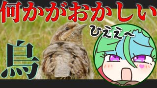 メスガキ先生とヤンデレちゃん横長版１０９「アリスイ」