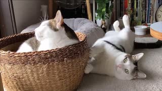 昼下がり