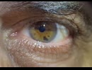 ismypointofview