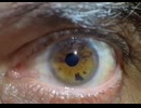 ismypointofview