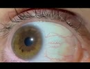 ismypointofview