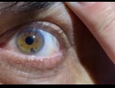 ismypointofview