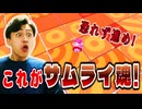 ヒヤヒヤロードでヒヤヒヤせずとにかく恐れず突き進んだ結果…!【フォールガイズ】