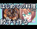 【Vlog】俺よくわかんねぇけどよぉ。餃子作ればいいんじゃねぇか？【いもだいずのやかましクッキング】