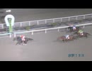 【陶文峰騎手、最終騎乗を勝利で飾る】2024年11月26日水沢競馬12R 初冬特別(A級) ゼットセントラル