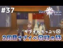 #37【テイルズオブヴェスペリア】２周目の旅！サブクエスト回収する！！【TALES OF VESPERIA】【実況】