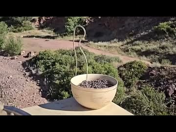 ホモと見る鎖の噴水現象