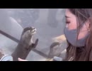 ホモと見るカワウソvsデカ過ぎる女