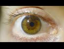 IsMyPoInToFvIeW