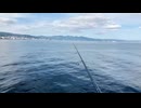 【魚釣り】夜勤前に釣りに行く男