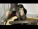 Eelの777をベースで弾いてみた