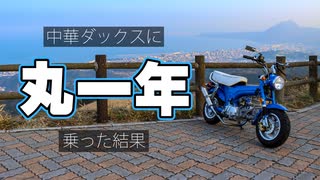中華ダックスに丸一年乗った結果