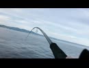 【魚釣り】絶対に切られる男
