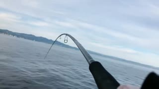 【魚釣り】絶対に切られる男