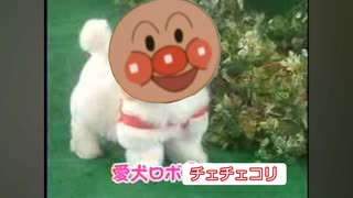 愛犬ロボ「チェチェコリ」