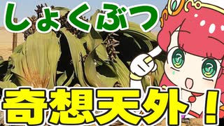 メスガキ先生とヤンデレちゃん横長版１１０「キソウテンガイ」