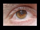 IsMyPoInToFvIeW