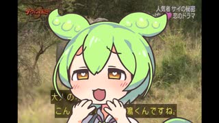 大人のオスがこんな情けない声で鳴くんですね。