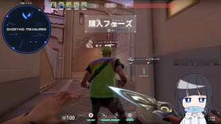 さくはいしん(20241127)