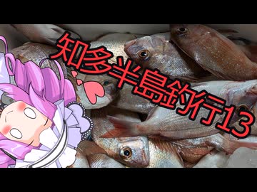 【チャリコ】知多半島釣行13【船釣り】