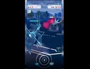 #ポケモンgo #gbl  ゼクロム グラードン ディアルガ ランドロス オリジンディアルガ ゼルネアス #shorts #マスターリーグ #pokemon