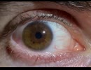 ismypointofview