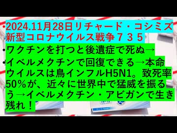 2024.11月28日リチャード・コシミズ新型コロナウイルス戦争７３５