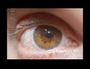 IsMyPoInToFvIeW