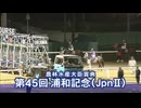 【ウマ娘風】第45回JpnⅡ浦和記念(浦和・2024)