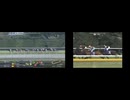 2024 ジャパンカップ(ドウデュース) vs 2006 ジャパンカップ(ディープインパクト)